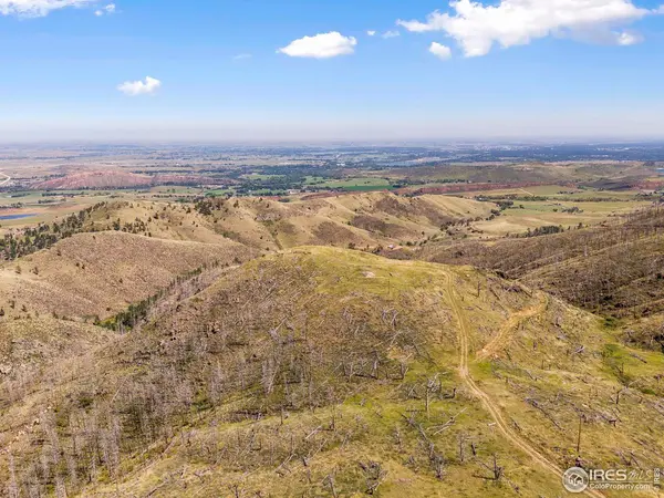 499 Helms Deep, Bellvue, CO 80512