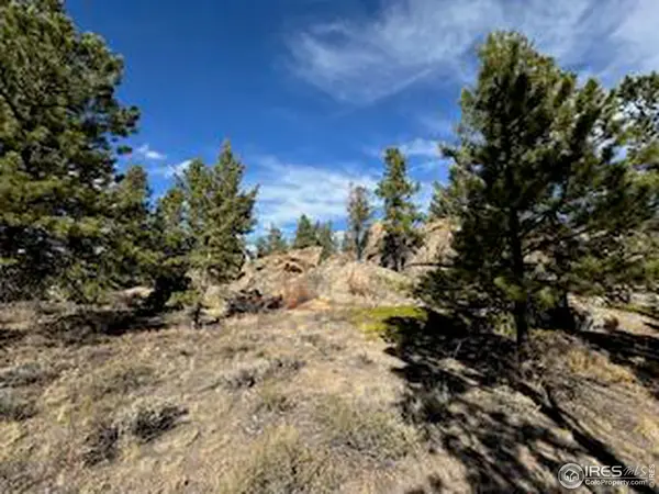 2921 Fox Acres, Red Feather Lakes, CO 80545