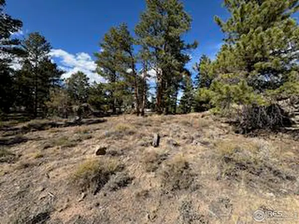 2921 Fox Acres, Red Feather Lakes, CO 80545