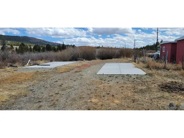 33 E Northrup, Alma, CO 80420