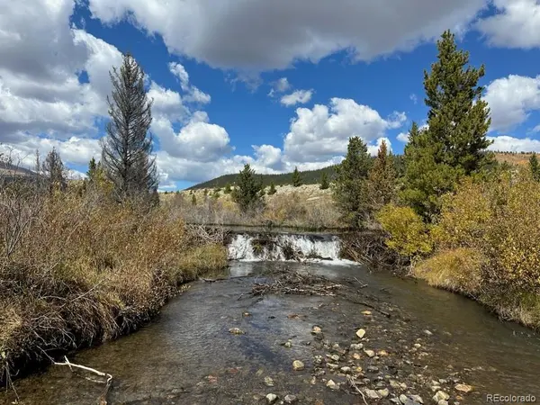 33 E Northrup, Alma, CO 80420