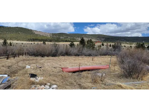 33 E Northrup, Alma, CO 80420