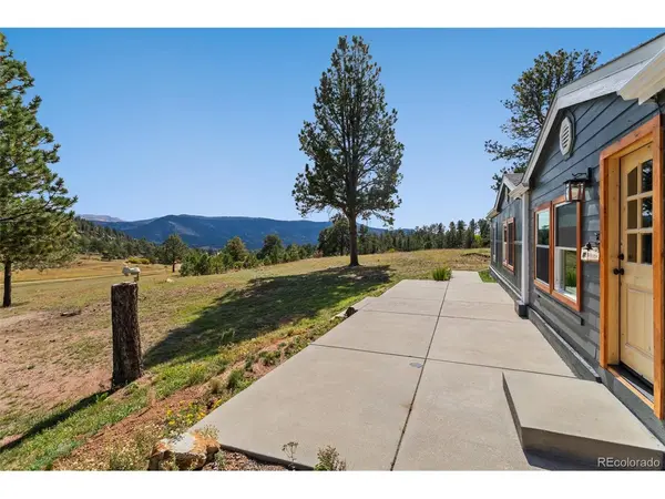 154 Hummingbird, Florissant, CO 80816