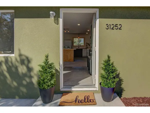 31252 County Road 384a, Buena Vista, CO 81211