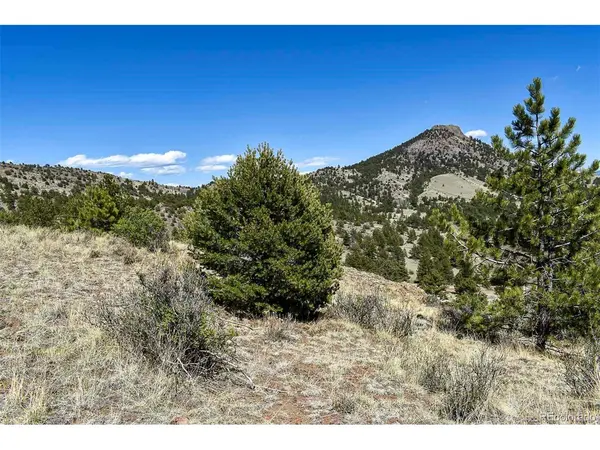 87 Wagon Wheel, Guffey, CO 80820