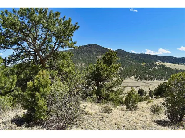 87 Wagon Wheel, Guffey, CO 80820