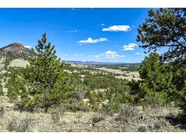 87 Wagon Wheel, Guffey, CO 80820