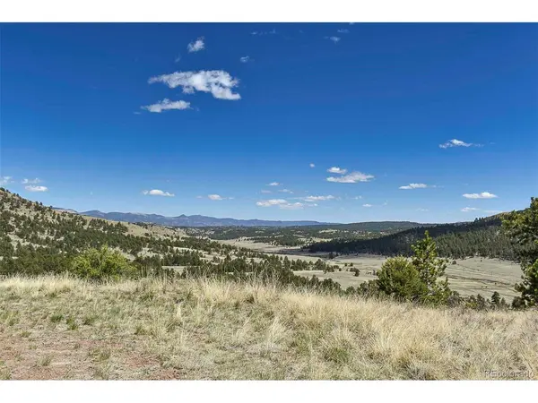 87 Wagon Wheel, Guffey, CO 80820