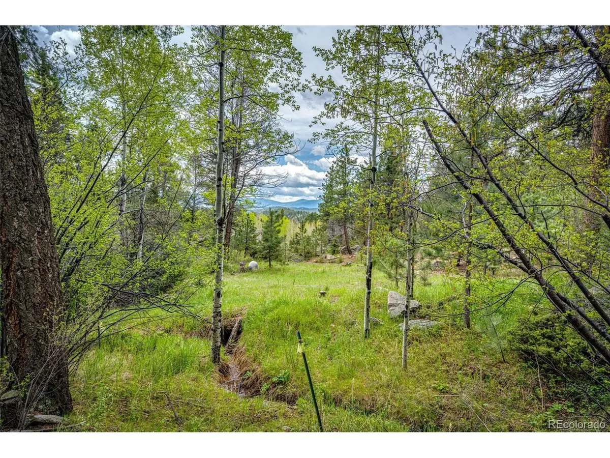 12346 Bear Haven, Conifer, CO 80433