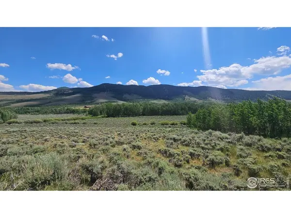 80 Trapper, Jelm, CO 80545