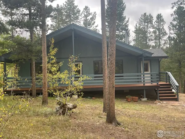 33 N Skinner, Allenspark, CO 80510