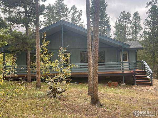 33 N Skinner, Allenspark, CO 80510