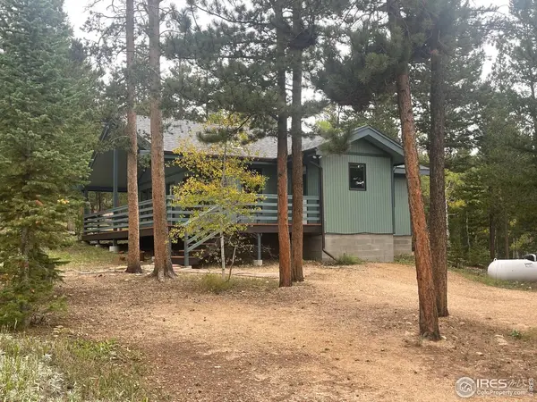 33 N Skinner, Allenspark, CO 80510
