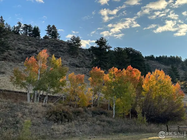 50481 US Highway 285, Grant, CO 80448