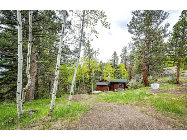 12346 Bear Haven, Conifer, CO 80433
