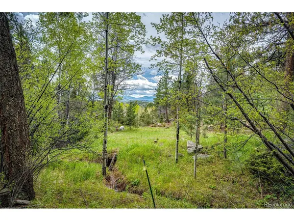 12346 Bear Haven,  Conifer,  CO 80433