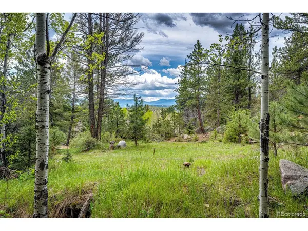 12346 Bear Haven, Conifer, CO 80433