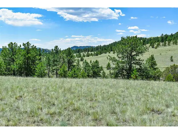 0 Witcher Mountain, Guffey, CO 80820