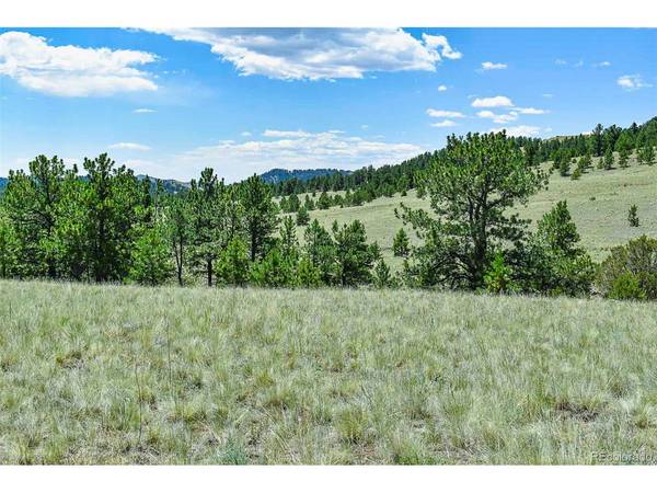 0 Witcher Mountain, Guffey, CO 80820