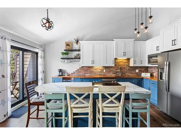 100 Bryant #3, Fraser, CO 80442