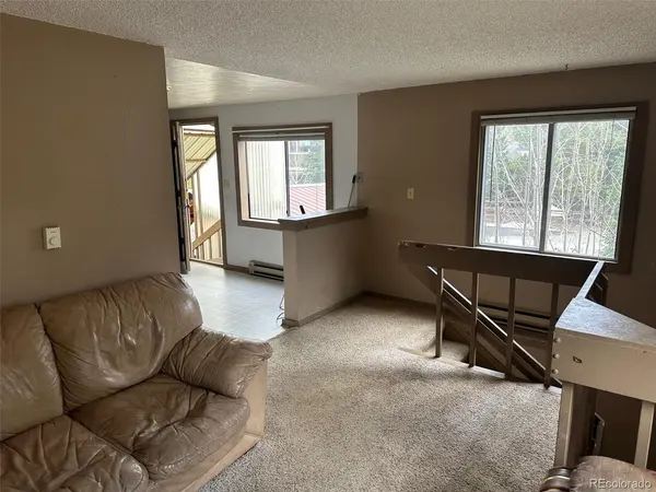 408 2ND, Frisco, CO 80443