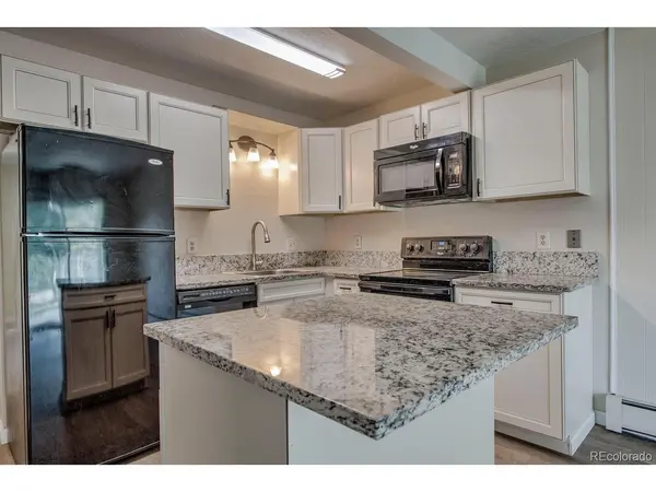 1213 Straight Creek #101, Dillon, CO 80435