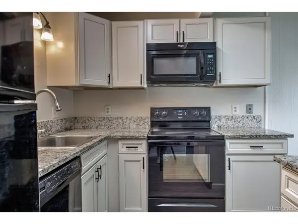 1213 Straight Creek #101, Dillon, CO 80435