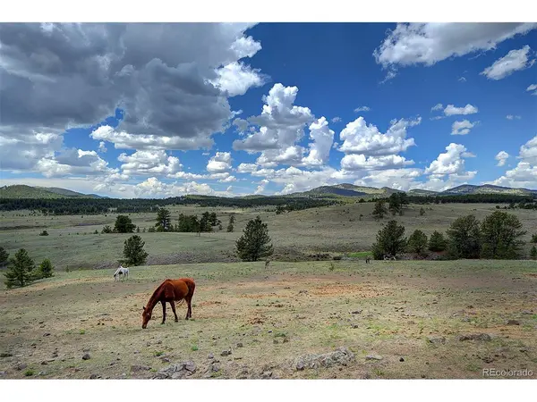 641 Old Kathleen, Guffey, CO 80820