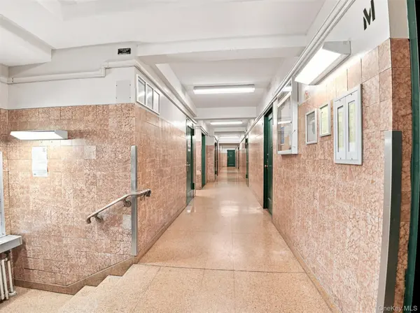 2049 McGraw AVE #4F, Bronx, NY 10462