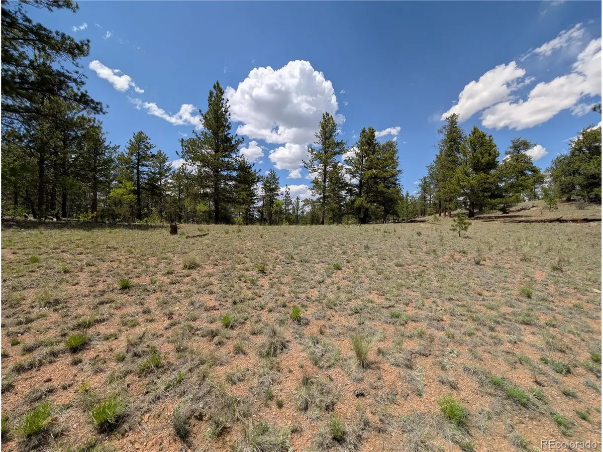 2053 Badger Creek, Hartsel, CO 80449