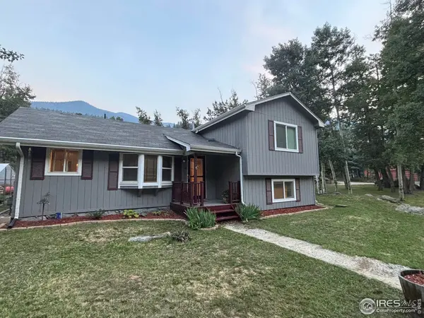 116 Silver Lakes, Dumont, CO 80436