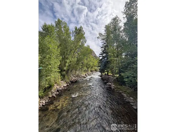 116 Silver Lakes, Dumont, CO 80436