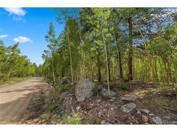 2564 Empire Valley, Leadville, CO 80461