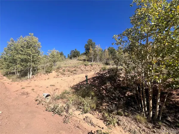 6658 Remington, Jefferson, CO 80456
