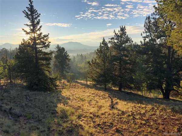 6658 Remington, Jefferson, CO 80456