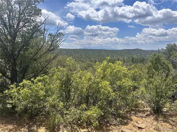 0 El Toro Way,  Boncarbo,  CO 81082
