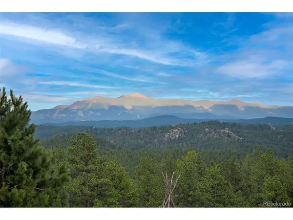 1701 Wildhorn, Florissant, CO 80816