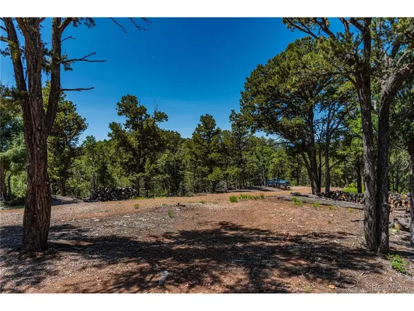 288 Bear, Cotopaxi, CO 81223