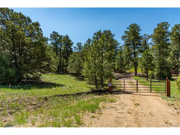 288 Bear,  Cotopaxi,  CO 81223