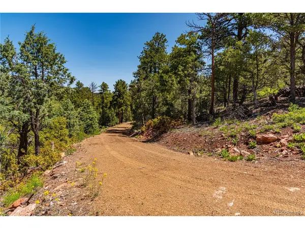 288 Bear, Cotopaxi, CO 81223