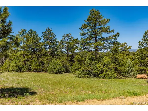 288 Bear, Cotopaxi, CO 81223