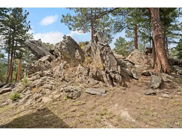 31313 Sugarhill, Evergreen, CO 80439