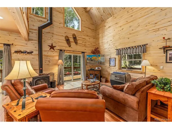 608 Snowshoe, Cimarron, CO 81220