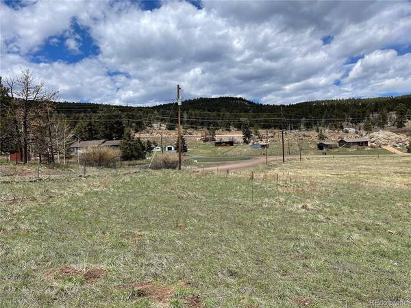 28652 Doe Valley, Conifer, CO 80433
