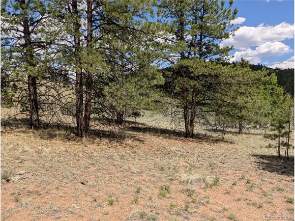 2053 Badger Creek, Hartsel, CO 80449