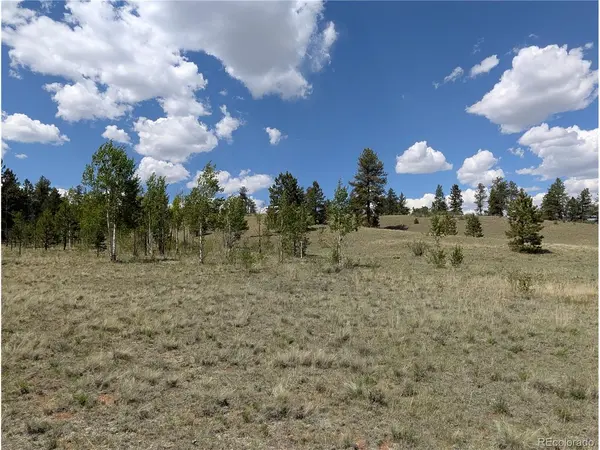 2053 Badger Creek, Hartsel, CO 80449