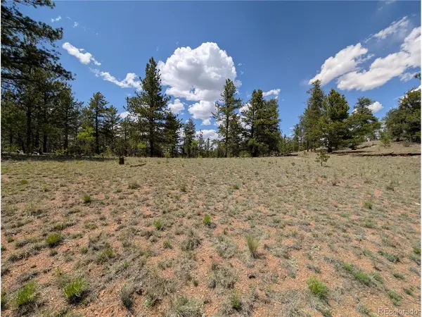 2053 Badger Creek, Hartsel, CO 80449