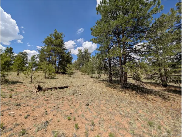 2053 Badger Creek, Hartsel, CO 80449