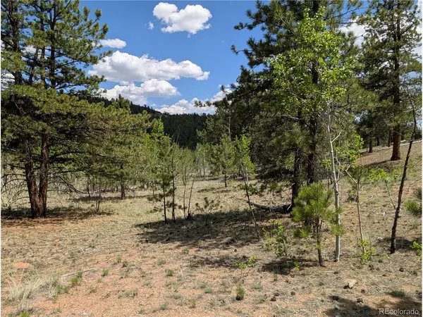 2053 Badger Creek, Hartsel, CO 80449