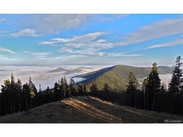 1539 Raven Ridge, Idaho Springs, CO 80452